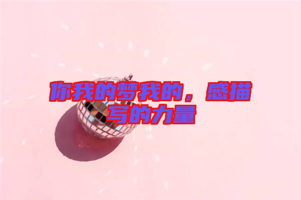 你我的夢(mèng)我的，感描寫的力量