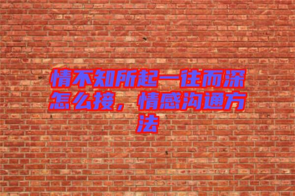 情不知所起一往而深怎么接，情感溝通方法