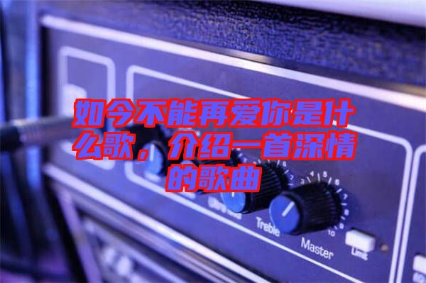 如今不能再愛你是什么歌，介紹一首深情的歌曲