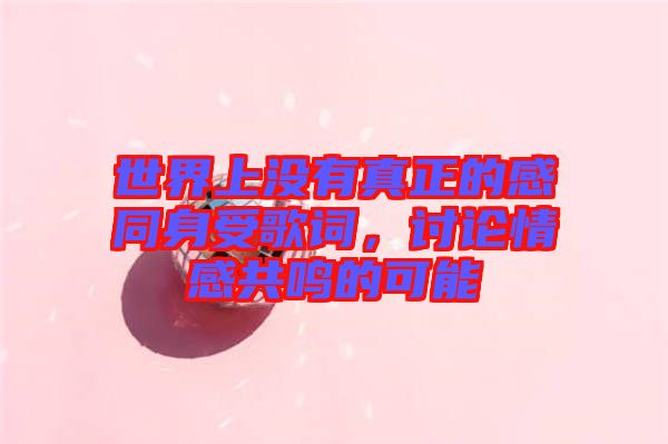 世界上沒有真正的感同身受歌詞，討論情感共鳴的可能