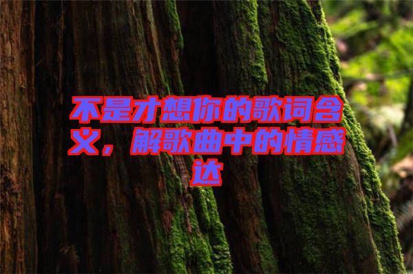 不是才想你的歌詞含義，解歌曲中的情感達(dá)