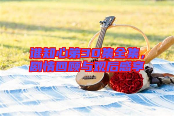 誰知心第30集全集，劇情回顧與觀后感享