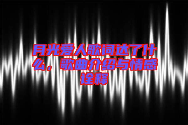 月光愛人歌詞達(dá)了什么，歌曲介紹與情感詮釋