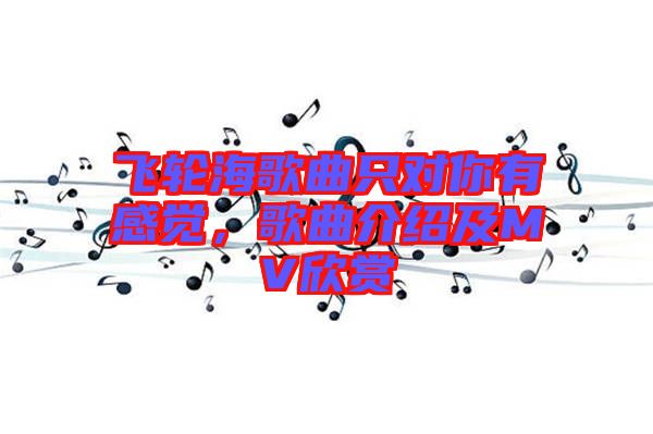 飛輪海歌曲只對你有感覺，歌曲介紹及MV欣賞