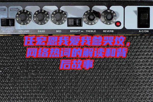 任宏恩我愛我爹哭墳，網(wǎng)絡(luò)熱詞的解讀和背后故事