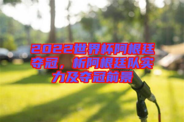 2022世界杯阿根廷奪冠，析阿根廷隊(duì)實(shí)力及奪冠前景