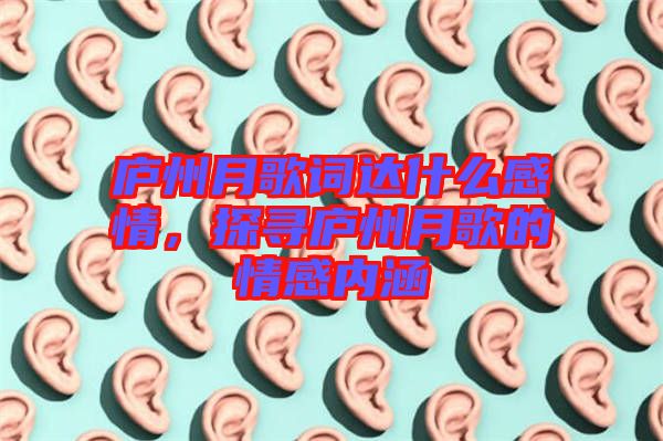 廬州月歌詞達(dá)什么感情，探尋廬州月歌的情感內(nèi)涵
