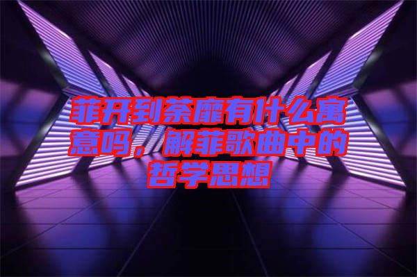 菲開到荼靡有什么寓意嗎，解菲歌曲中的哲學思想