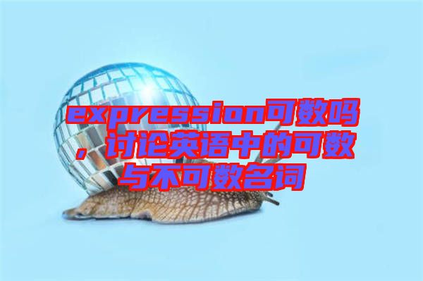 expression可數(shù)嗎，討論英語中的可數(shù)與不可數(shù)名詞