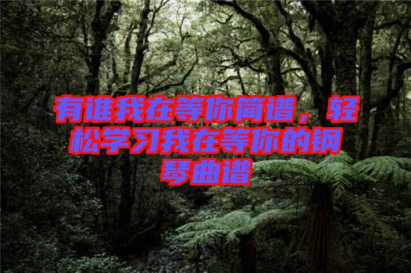 有誰我在等你簡譜，輕松學(xué)習(xí)我在等你的鋼琴曲譜
