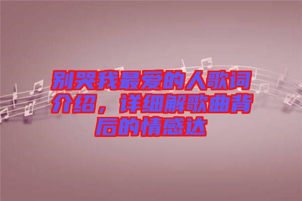 別哭我最愛的人歌詞介紹，詳細(xì)解歌曲背后的情感達(dá)