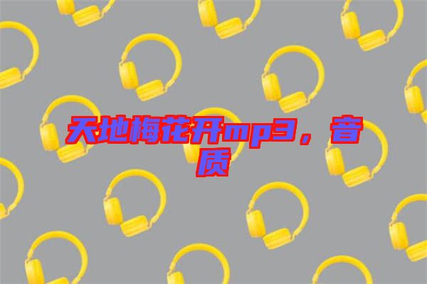 天地梅花開mp3，音質(zhì)
