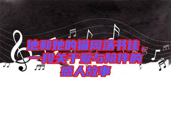 他和她的貓周蕩書佳，一段關(guān)于愛與陪伴的感人故事