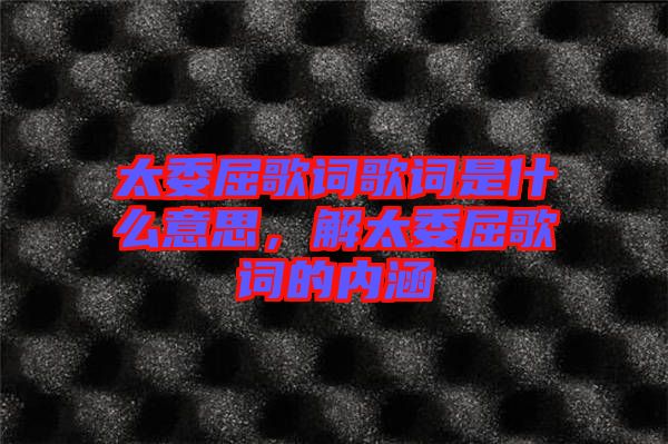 太委屈歌詞歌詞是什么意思，解太委屈歌詞的內(nèi)涵