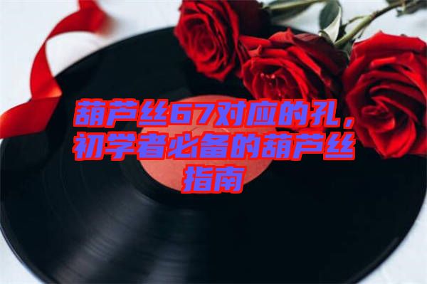 葫蘆絲67對(duì)應(yīng)的孔，初學(xué)者必備的葫蘆絲指南