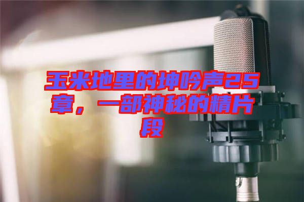 玉米地里的坤吟聲25章，一部神秘的精片段