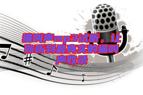 貓叫聲mp3試聽(tīng)，讓你聽(tīng)到最真實(shí)的貓叫聲收錄