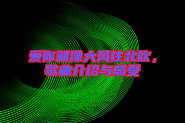 愛(ài)你就像大風(fēng)往北吹，歌曲介紹與感受