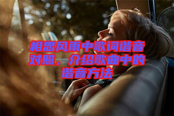 相思風(fēng)雨中歌詞諧音對照，介紹歌曲中的諧音方法