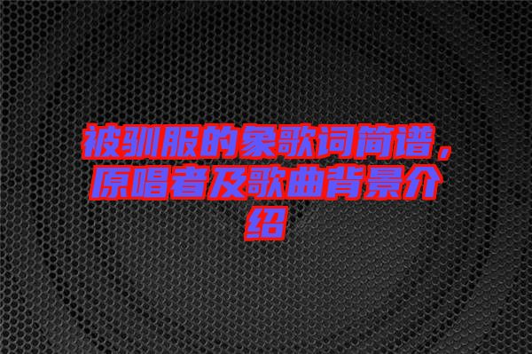 被馴服的象歌詞簡(jiǎn)譜，原唱者及歌曲背景介紹