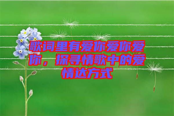 歌詞里有愛你愛你愛你，探尋情歌中的愛情達(dá)方式