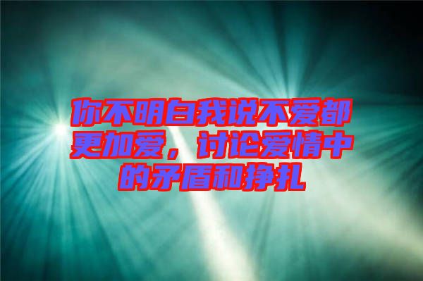 你不明白我說不愛都更加愛，討論愛情中的矛盾和掙扎