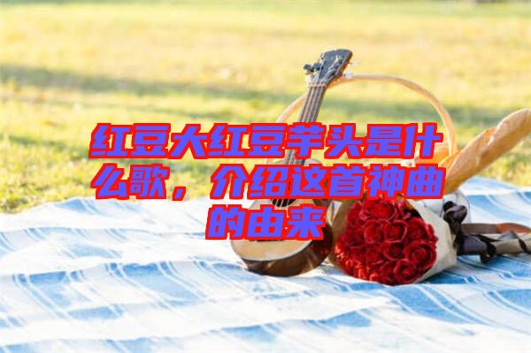 紅豆大紅豆芋頭是什么歌，介紹這首神曲的由來(lái)
