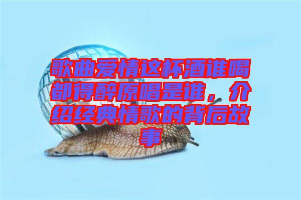 歌曲愛情這杯酒誰喝都得醉原唱是誰，介紹經(jīng)典情歌的背后故事