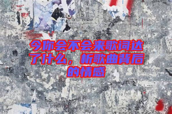 今你會不會來歌詞達(dá)了什么，析歌曲背后的情感