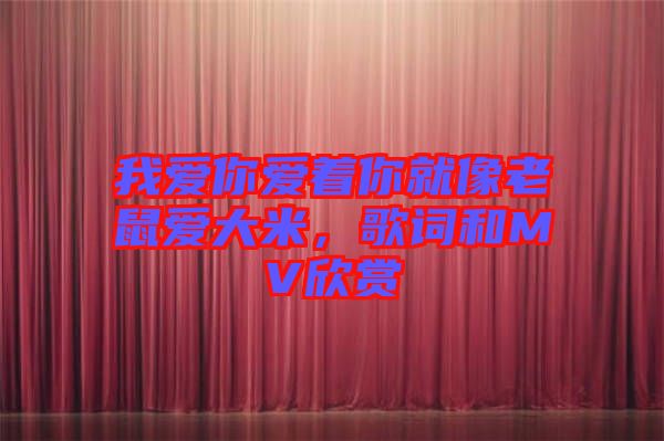 我愛你愛著你就像老鼠愛大米，歌詞和MV欣賞