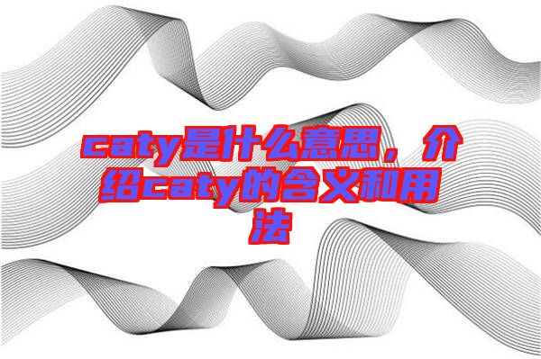 caty是什么意思，介紹caty的含義和用法