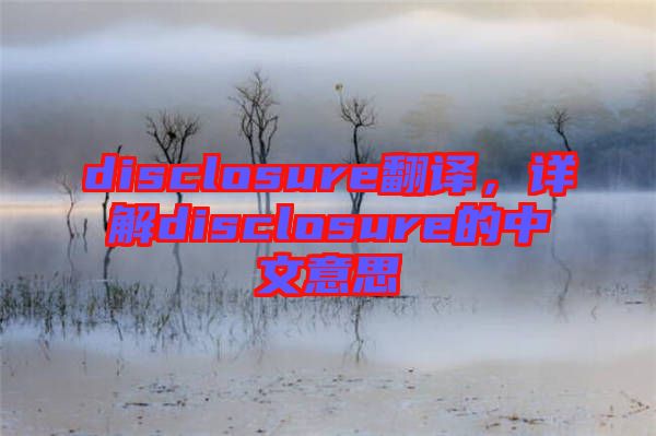 disclosure翻譯，詳解disclosure的中文意思