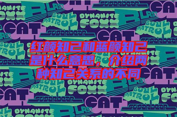 紅顏知己和藍(lán)顏知己是什么意思，介紹兩種知己關(guān)系的不同