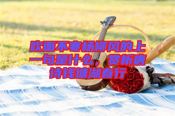吹面不寒楊柳風(fēng)的上一句是什么，賞析唐詩(shī)錢(qián)塘湖春行