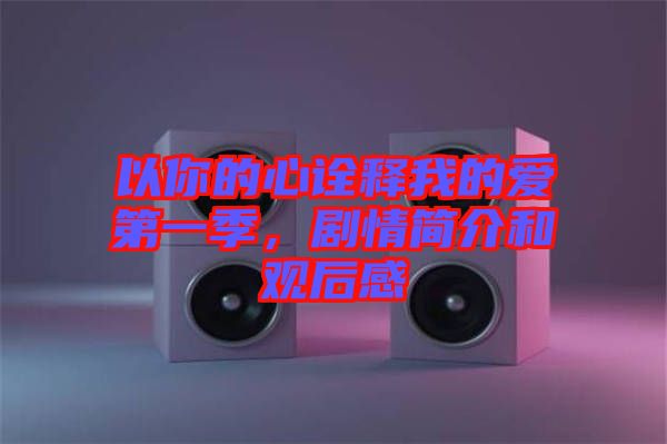 以你的心詮釋我的愛第一季，劇情簡介和觀后感