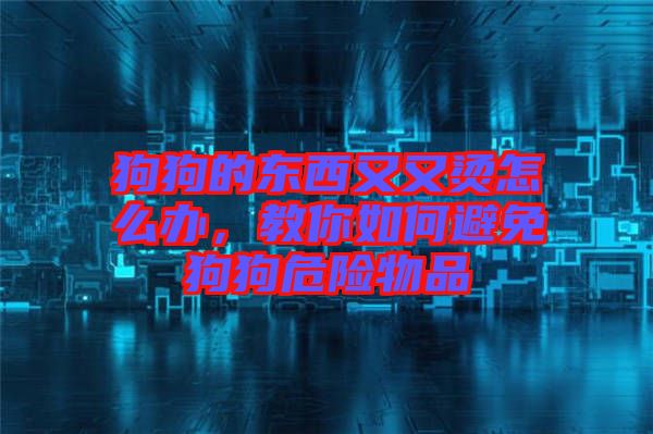 狗狗的東西又又燙怎么辦，教你如何避免狗狗危險(xiǎn)物品