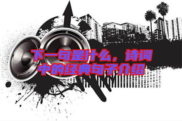 下一句是什么，詩(shī)詞中的經(jīng)典句子介紹