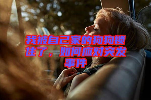 我被自己家的狗狗鎖住了，如何應(yīng)對突發(fā)事件