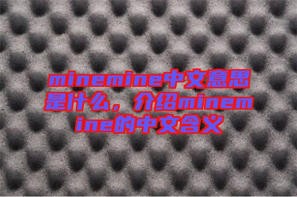 minemine中文意思是什么，介紹minemine的中文含義