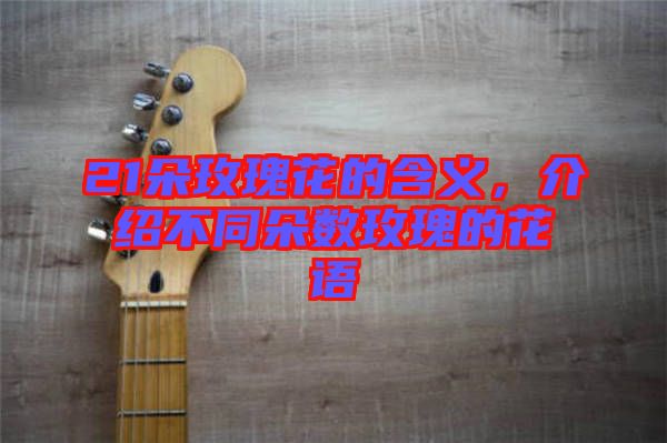 21朵玫瑰花的含義，介紹不同朵數(shù)玫瑰的花語