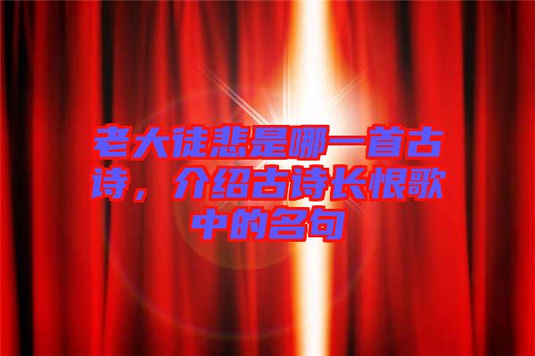 老大徒悲是哪一首古詩(shī)，介紹古詩(shī)長(zhǎng)恨歌中的名句