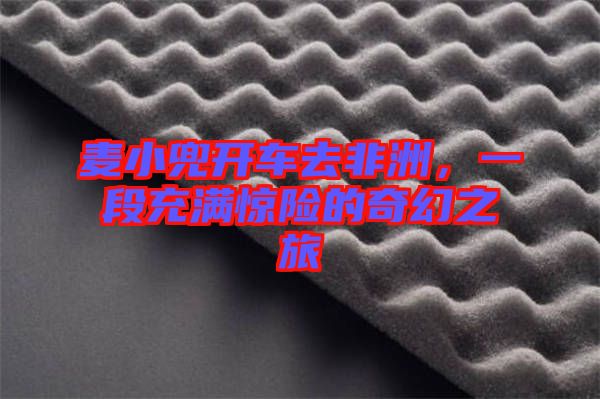 麥小兜開車去非洲，一段充滿驚險(xiǎn)的奇幻之旅