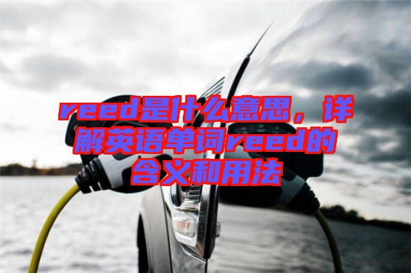 reed是什么意思，詳解英語單詞reed的含義和用法
