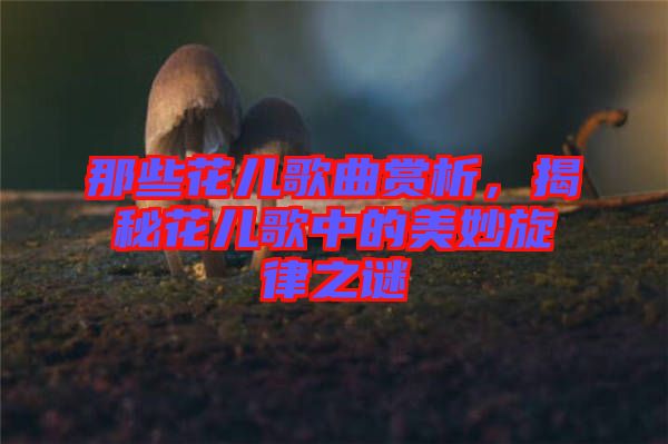 那些花兒歌曲賞析，揭秘花兒歌中的美妙旋律之謎