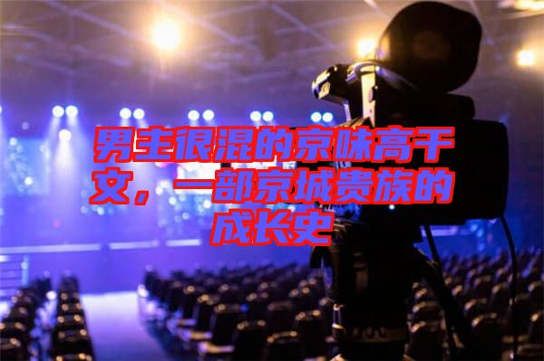 男主很混的京味高干文，一部京城貴族的成長史