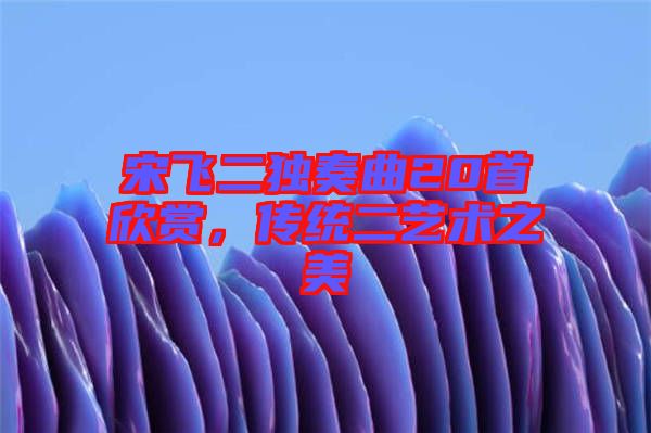 宋飛二獨奏曲20首欣賞，傳統(tǒng)二藝術(shù)之美
