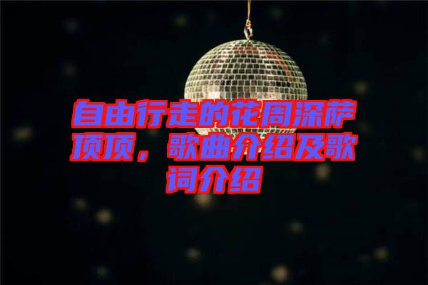 自由行走的花周深薩頂頂，歌曲介紹及歌詞介紹