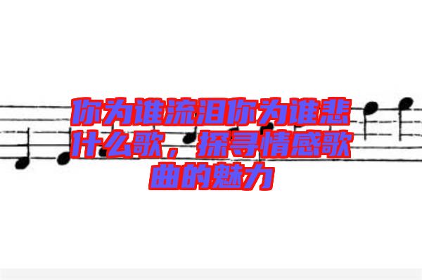 你為誰流淚你為誰悲什么歌，探尋情感歌曲的魅力