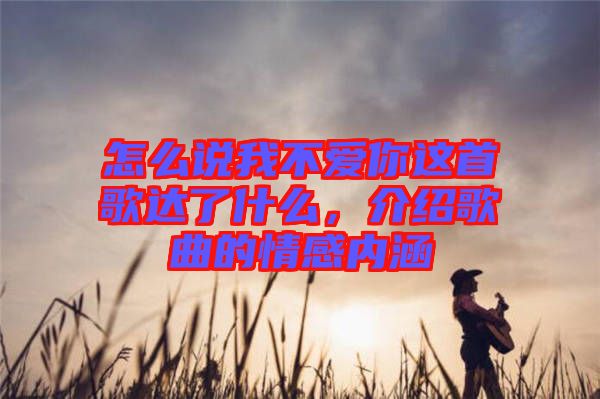 怎么說(shuō)我不愛你這首歌達(dá)了什么，介紹歌曲的情感內(nèi)涵