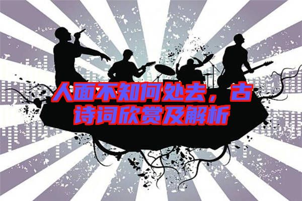 人面不知何處去，古詩詞欣賞及解析